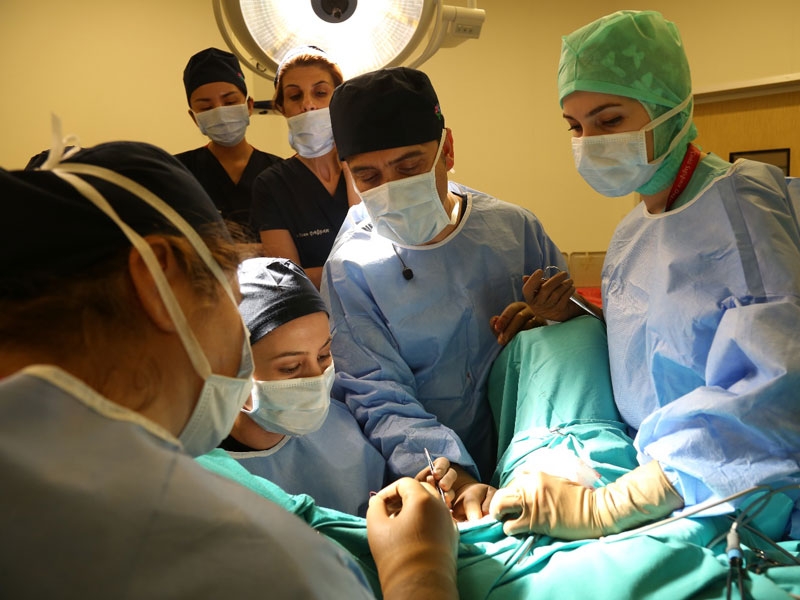 Monsplasty (Mons Pubis Reduction) - Assoc. Prof. Süleyman Eserdağ, MD